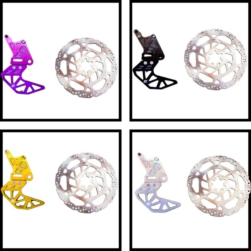 Rear Brake Bracket and Brake Disc